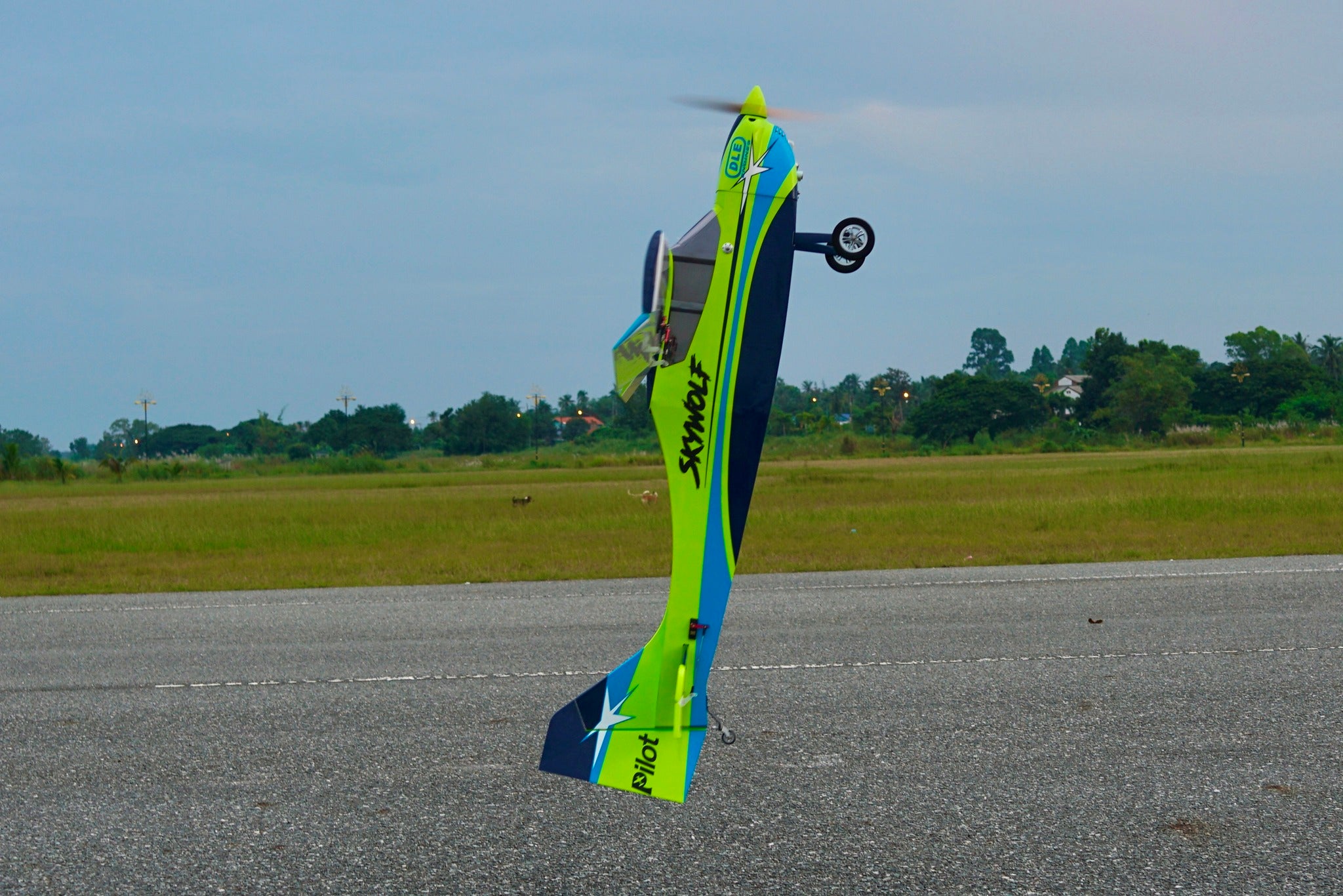 » Pilot rc Skywolf V2 04 green/blue 73" 1.85m