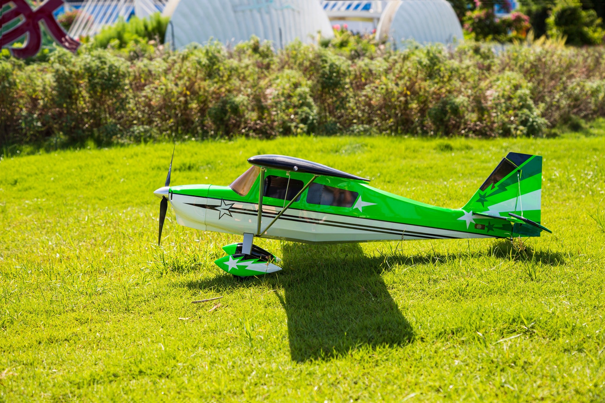 OMPHobby Super Decathlon green 1400mm PNP