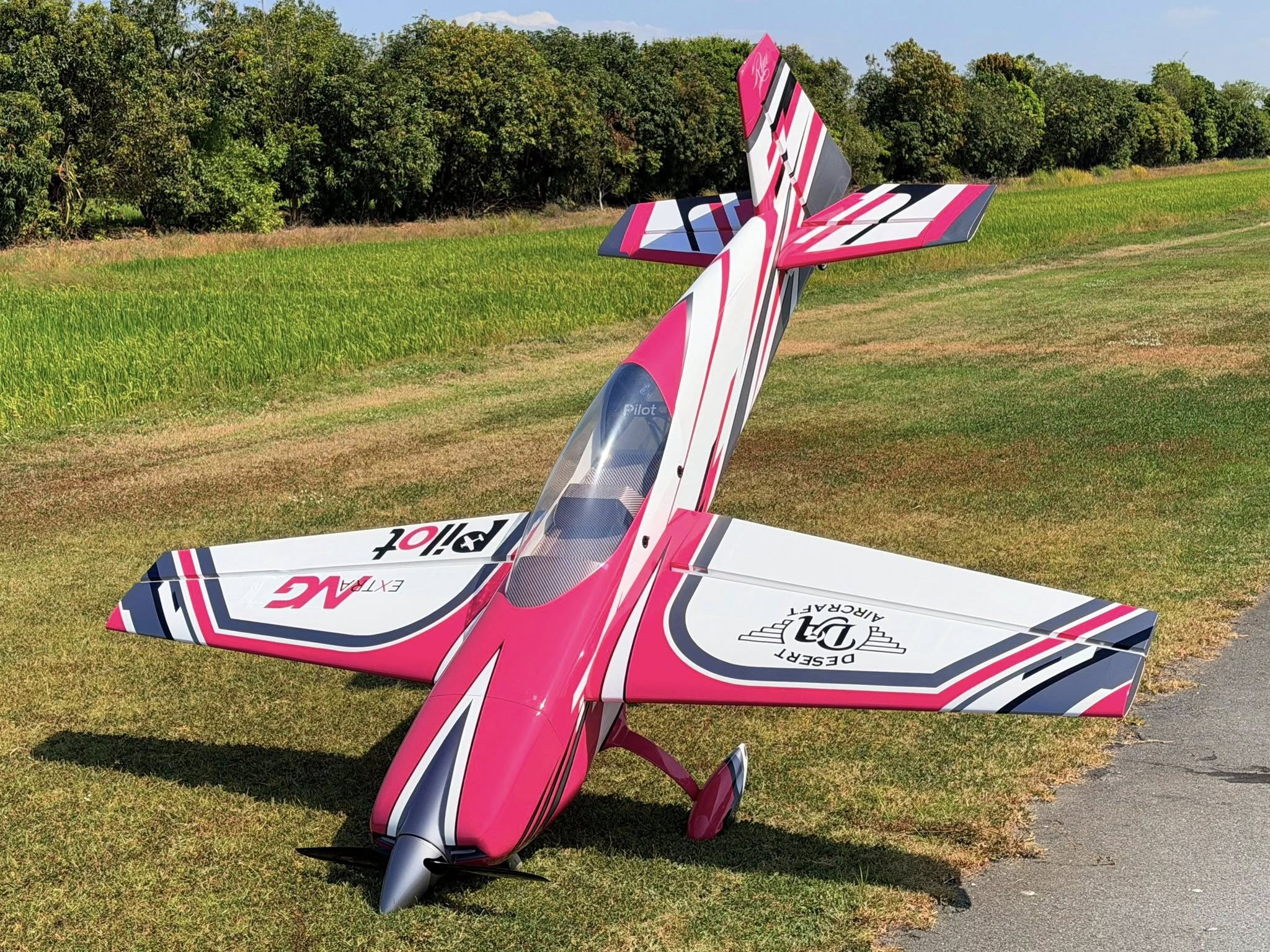 Pilot RC Extra NG 10 Pink 60" 1.52m