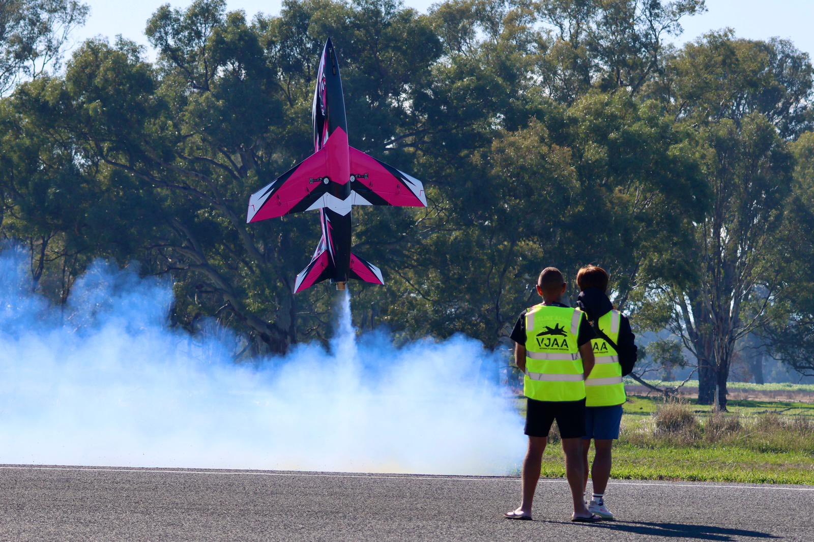 Pilot rc 2.4m Matrix incl retracts 07 pink