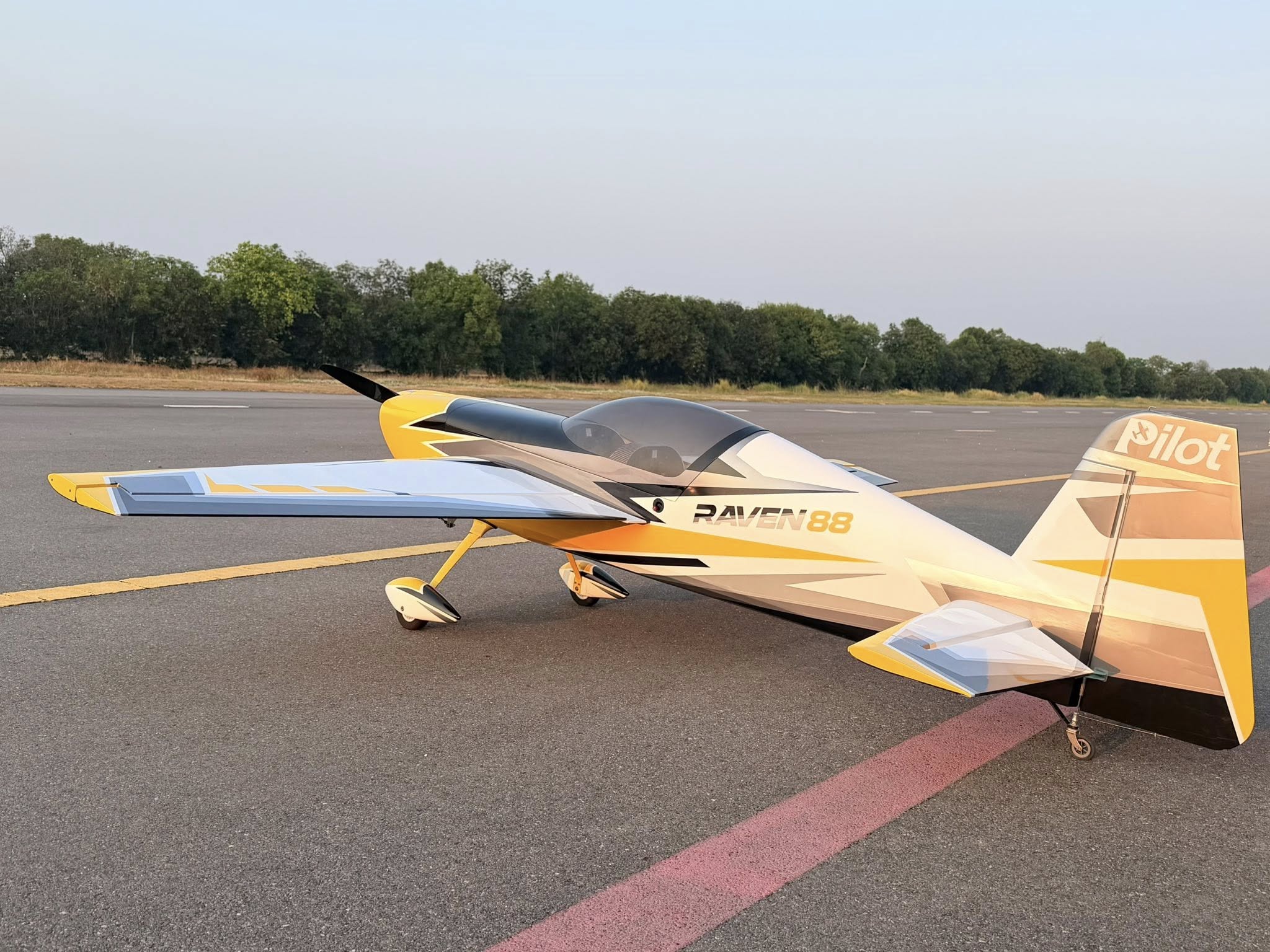 Pilot rc Raven 103" 2.26m 02 yellow/black/silver/white