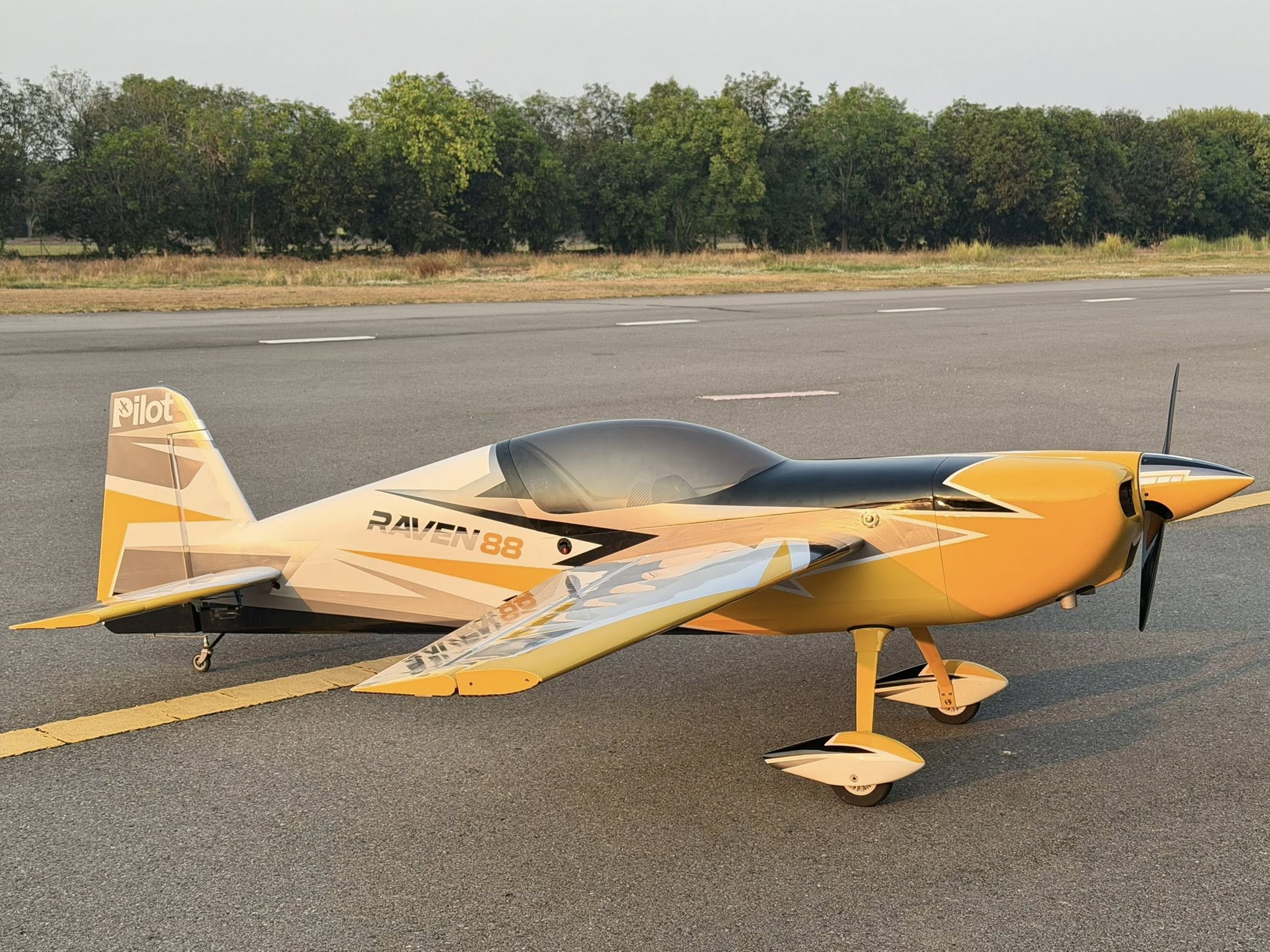 Pilot rc Raven 103" 2.26m 02 yellow/black/silver/white