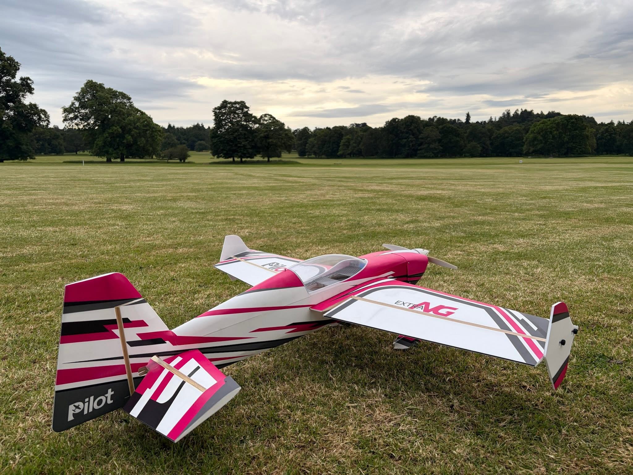 Pilot RC Extra NG 10 pink 49" 125cm EPP plane