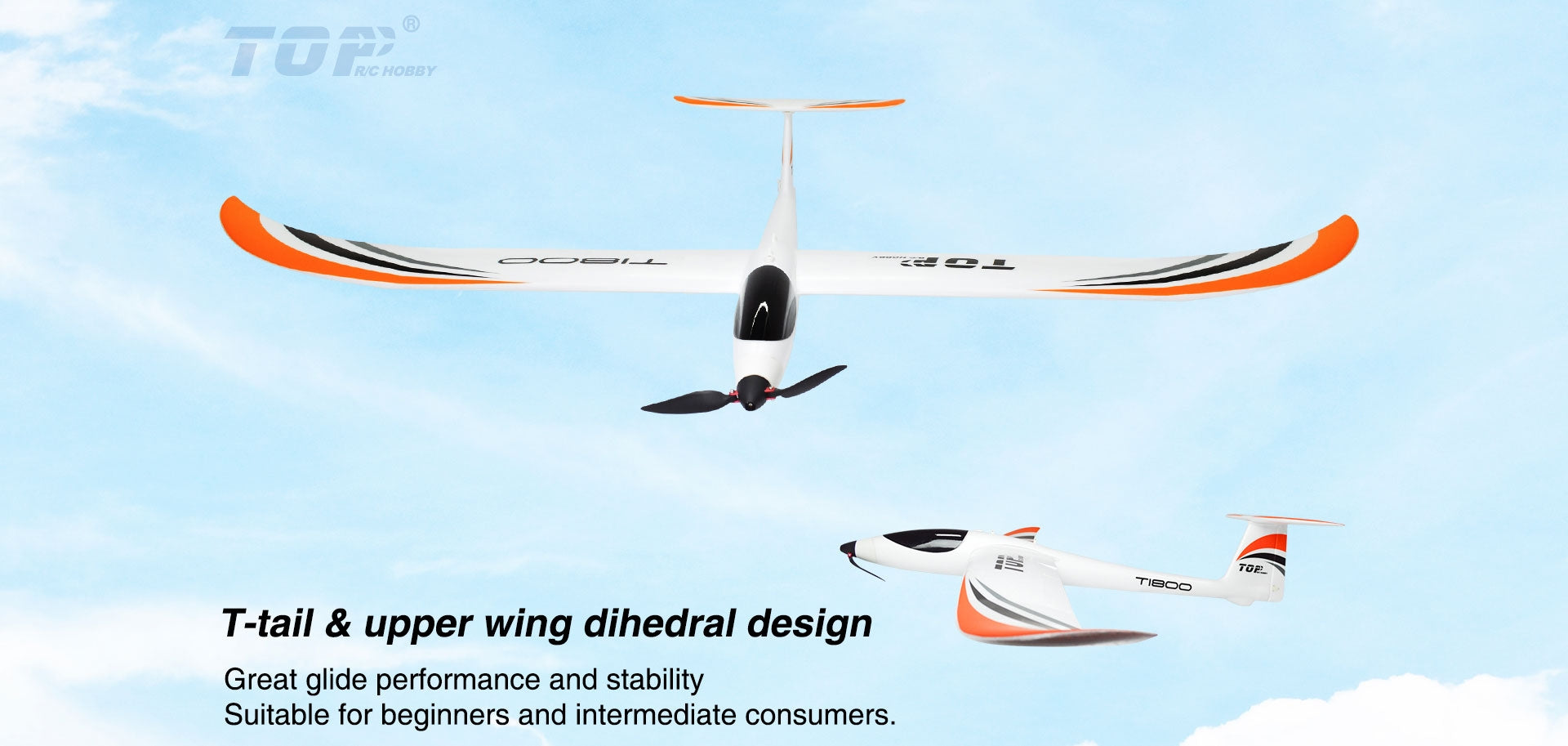 TOP RC 1800MM T1800 PNP Glider