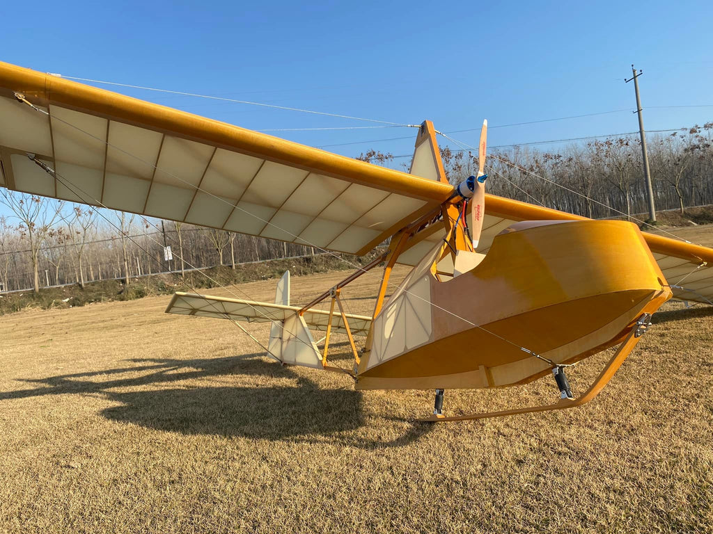 Wertflugzeuge im Maßstab 1:3, Schulleiter SG-38 Balsa-Bausatz