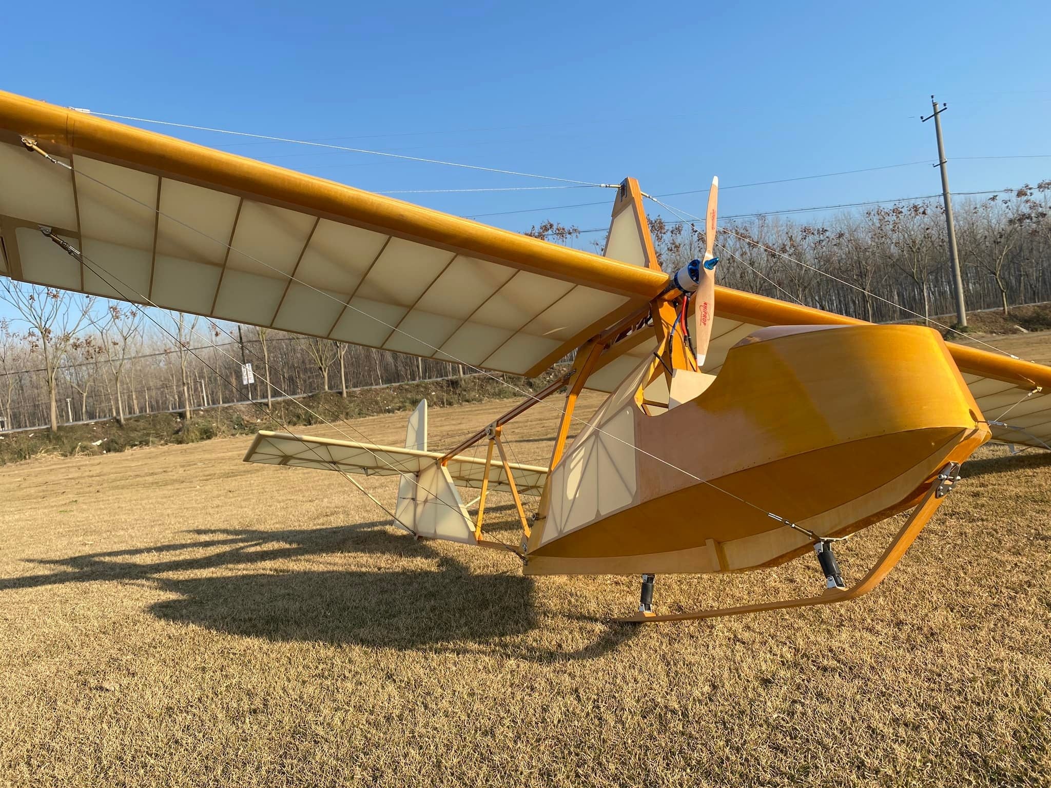 Wertflugzeuge im Maßstab 1:3, Schulleiter SG-38 Balsa-Bausatz