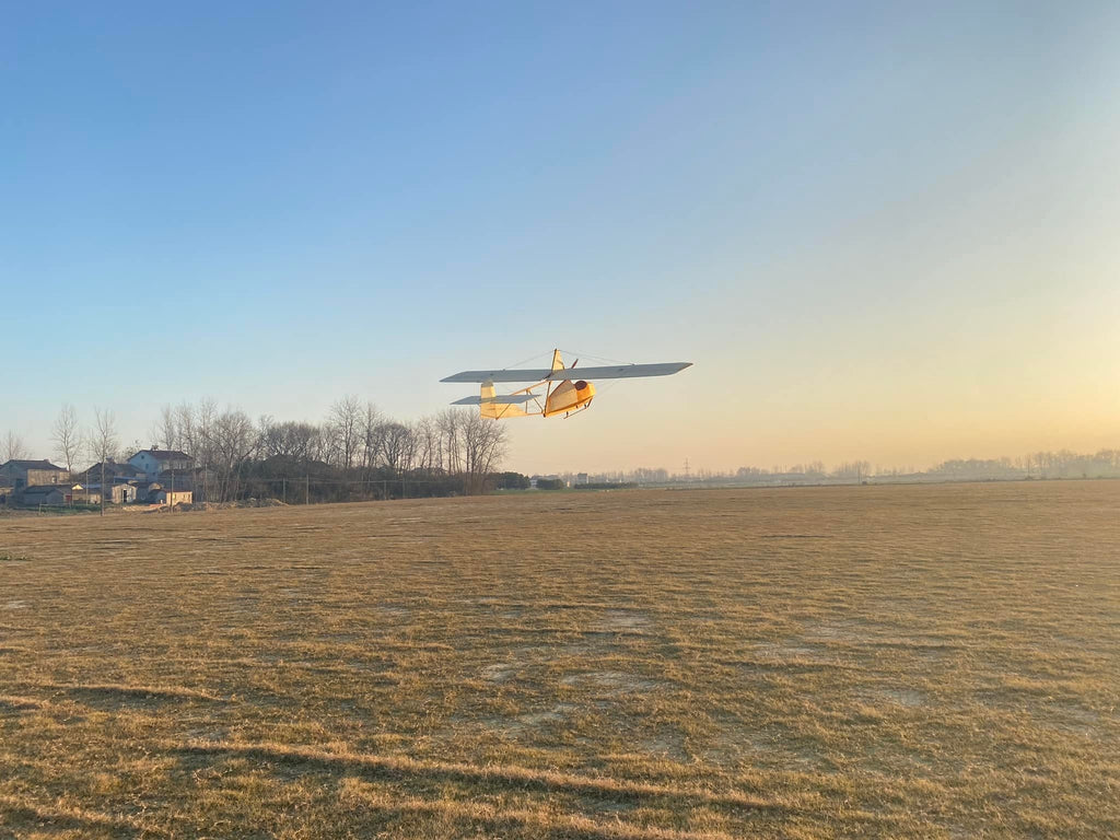 Wertflugzeuge im Maßstab 1:3, Schulleiter SG-38 Balsa-Bausatz