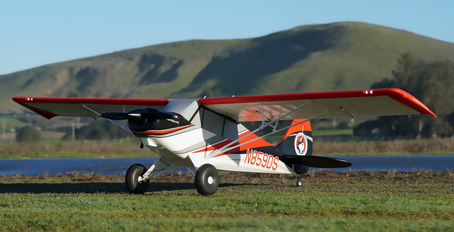 Arrows Hobby Husky PNP 1800mm Ultimate+Vector