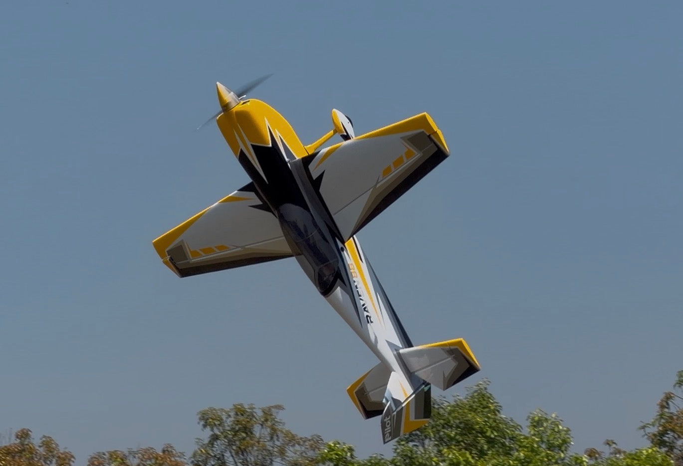 Pilot rc Raven 103" 2.26m 02 yellow/black/silver/white