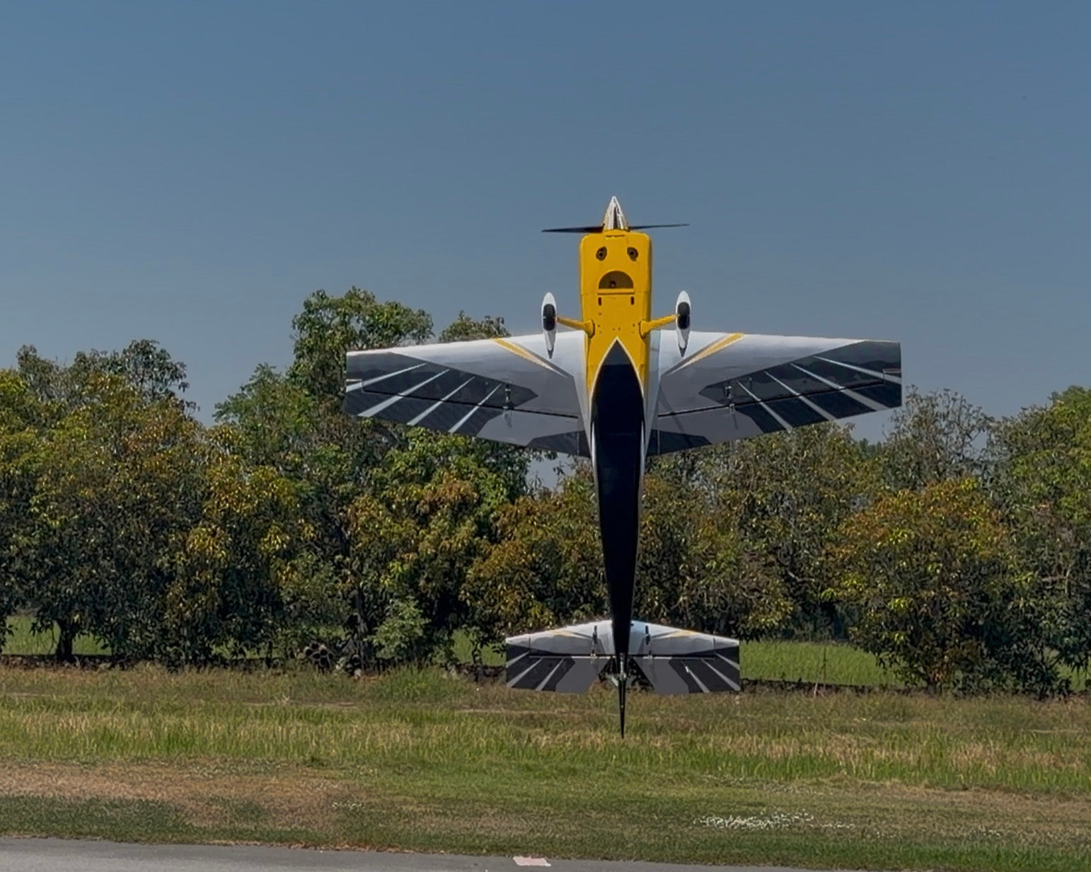 Pilot rc Raven 103" 2.26m 02 yellow/black/silver/white