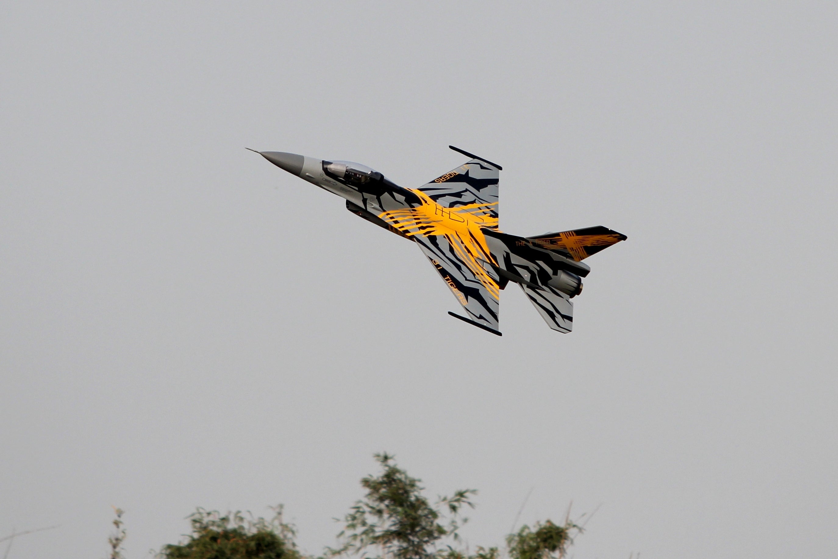 Pilot rc 1/5 F16 3.06m incl retracts X Tiger scheme