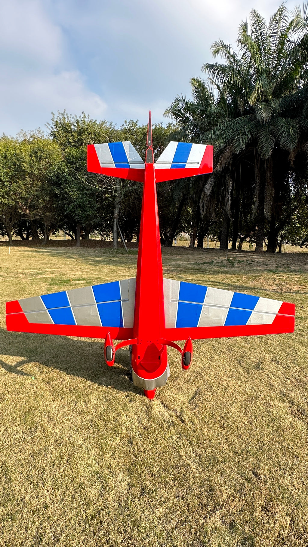 » Pilot rc Extra NG 07 silver/red/blue 78" 1.97m